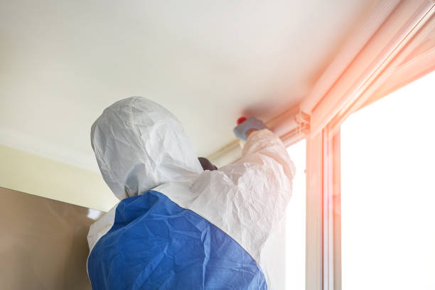 Environmental Consulting for Mold Prevention in Zephyrhills West, FL